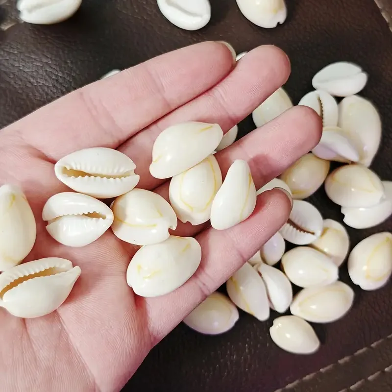 10/20 PCS Natural Seashells with Golden Edges - DIY Craft Supplies for Home Decor, Fish Tank & Mediterranean-Style Projects