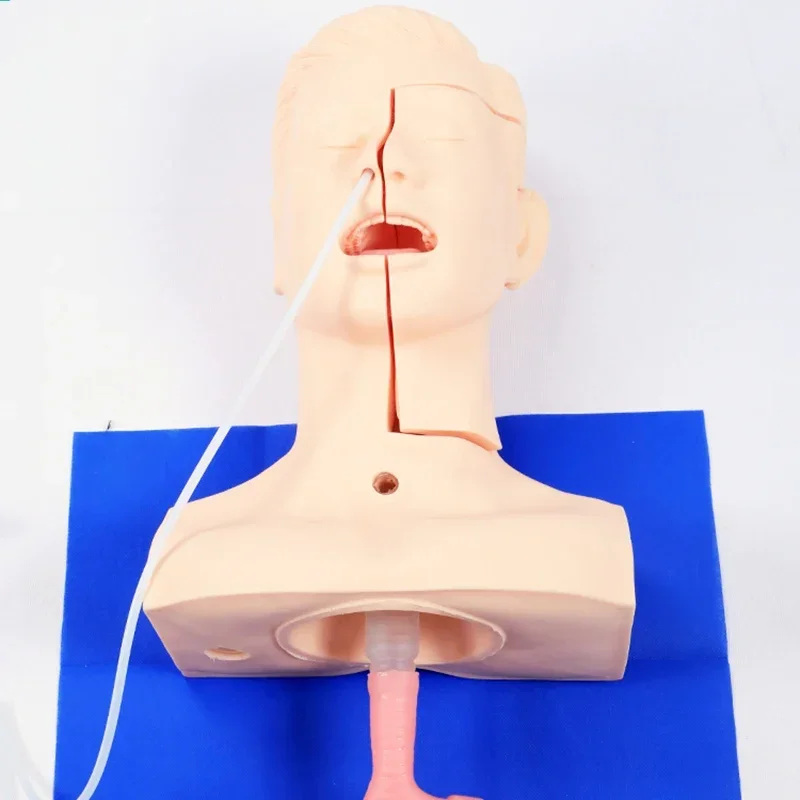 Sputum Suction Practice Model Nasal And Oral Insertion Suction Tube Technology Practice Simulated Human Teaching Training Model