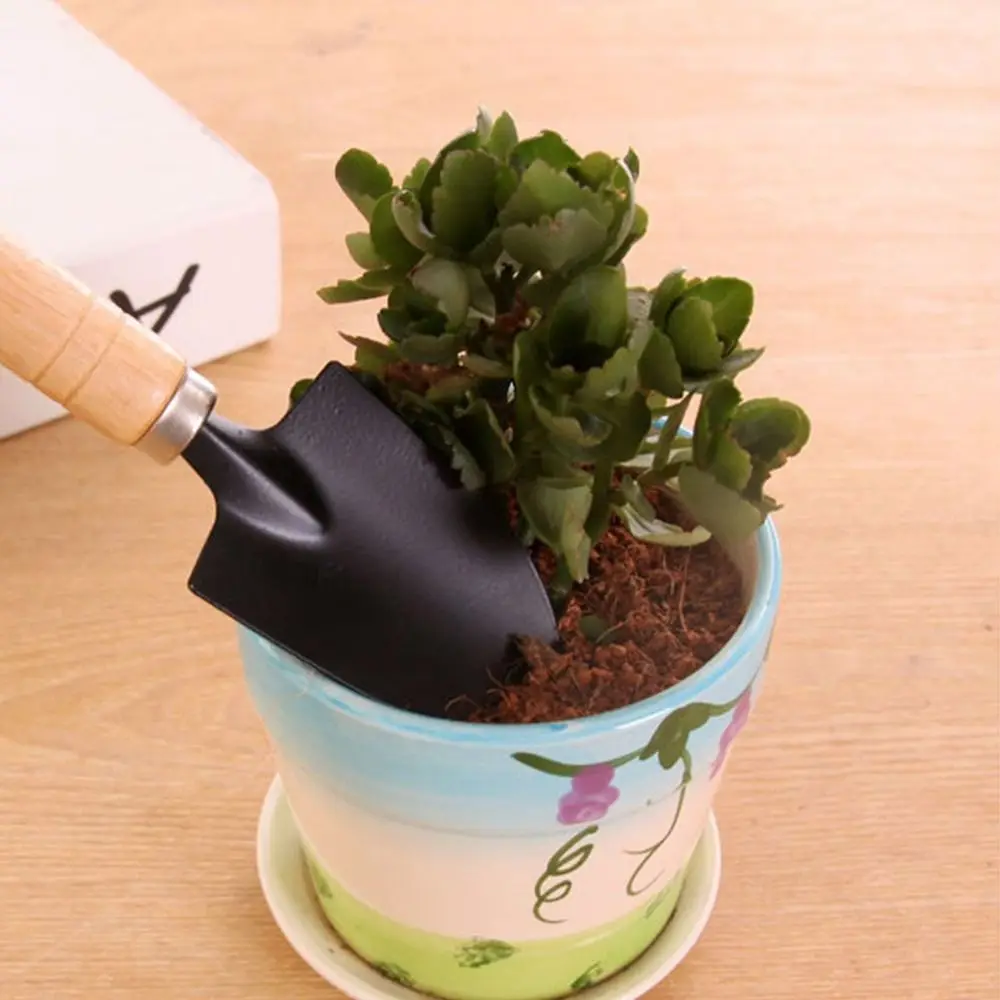 

Soil Scoop Sharp-nosed Shovel Pot Plant Bonsai Tool Handle Rake Mini Garden Shovel Gardening Shovel Garden Trowel Flower Shovel