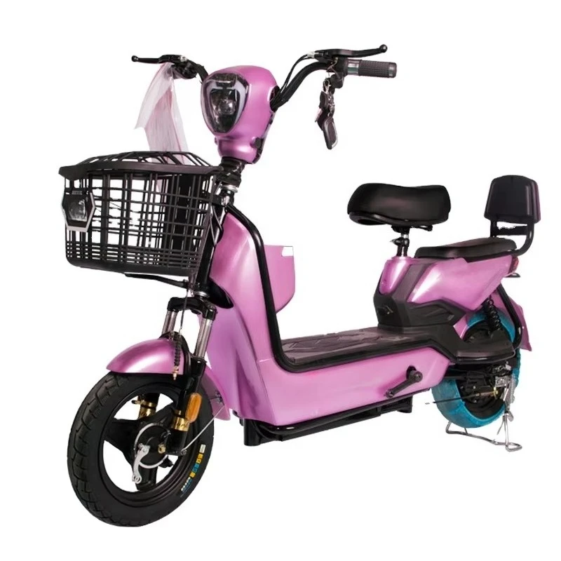 Two Wheel Adult Electronic Digital Dual Suspension Ebike 350W 48v Electric Folding Bicycle City Bike for Delivery Goods