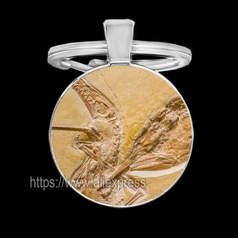 Biological Fossils Keychains for Men Plant Dinosaur Fish Tortoise Key Holder for Keys Cool Keychain for Boy