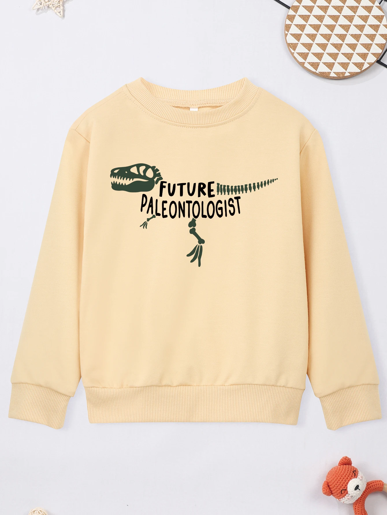 Baby Boy Girl Sweater Cool Dinosaur Fossil FUTURE PALEONTOLOGIST Print Kid Sweatshirt