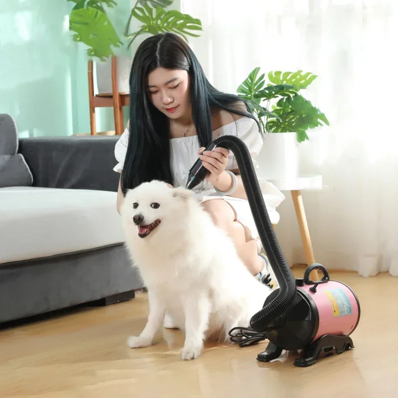 Sèche-cheveux haute puissance 2800W pour chiens et chats, moteur de soufflage d'eau, vent chaud réglable, sèche-cheveux professionnel, fournitures pour animaux de compagnie