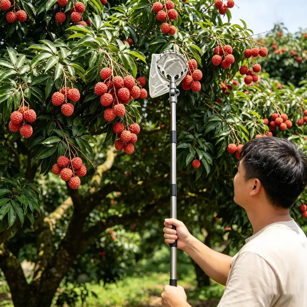 Long Handle Fruit Picker Metal Fruit Harvesting Claw with Cloth Bag Stainless Steel Pole Adjustable Tree Fruit Harvester