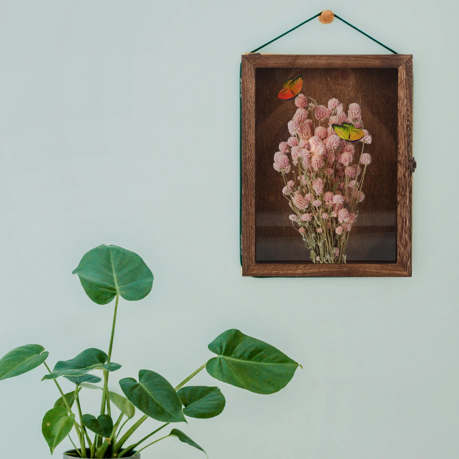 

Деревянная витрина, коробка для насекомых, теневая коробка для хранения образцов, настенные коробки для бабочек, сушеных цветов