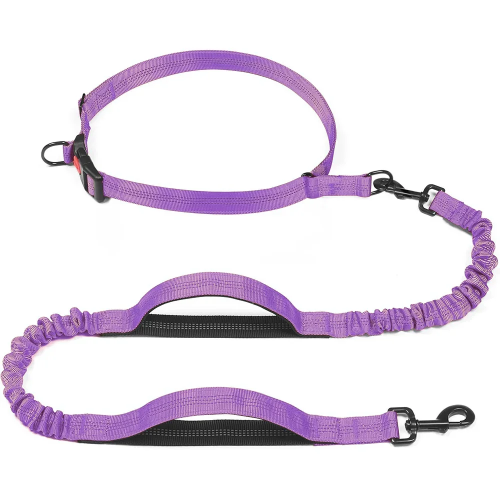 

Double Handle Elastic Dog Leash Hands Free Dog Lead Adjustable Waist Belt Reflective Nylon Extendable Dog Running Leash Blue Red