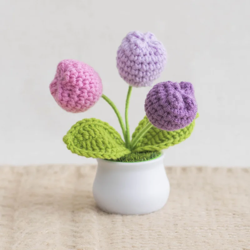 Handmade Crochet Flower Pots for Home Decoration Learning And Daily Life Use Eco-Friendly Cotton Planters