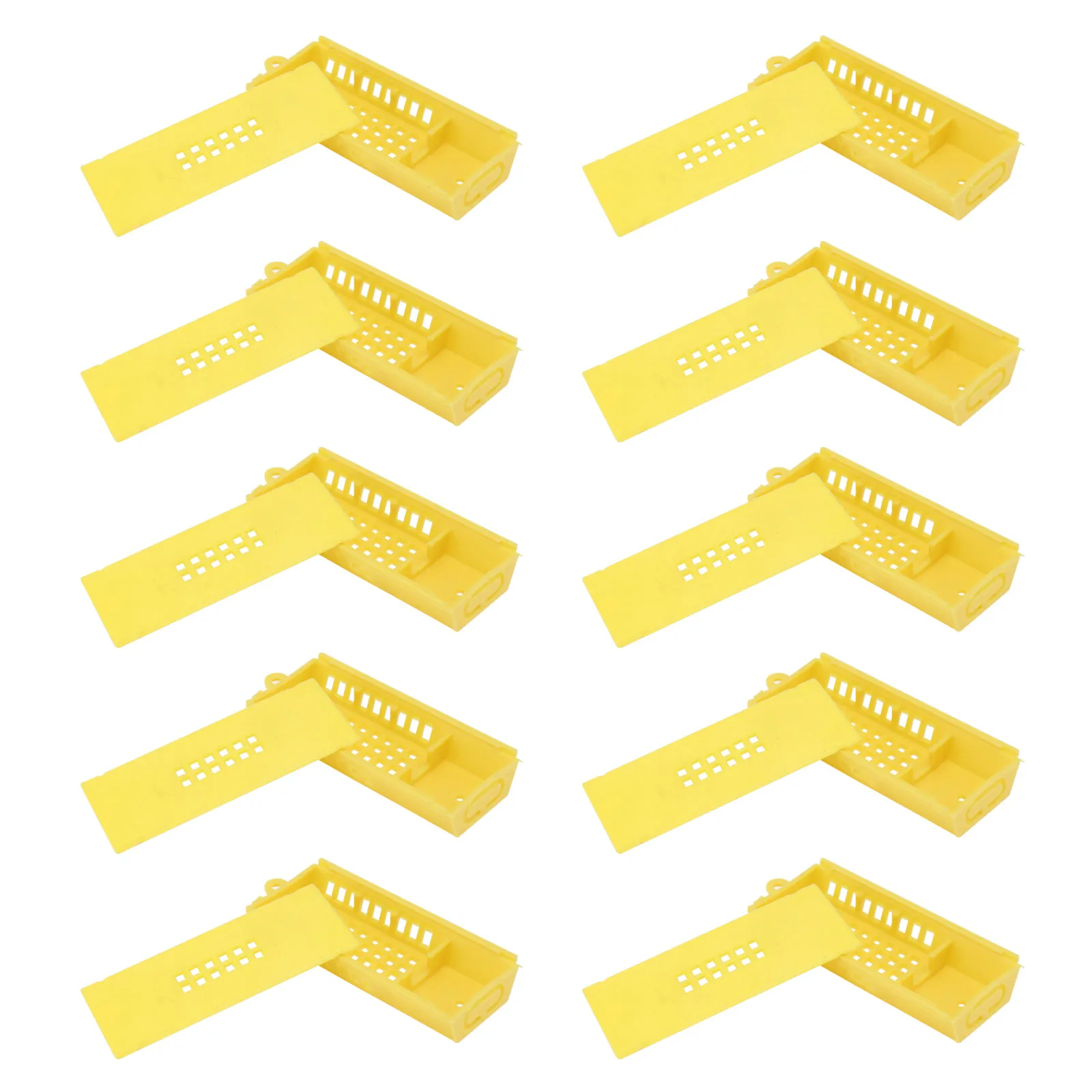 

10pcs Cage Beekeeping Tool Durable Multi Function Equipment Catcher Tool Gardening Supplies Practical