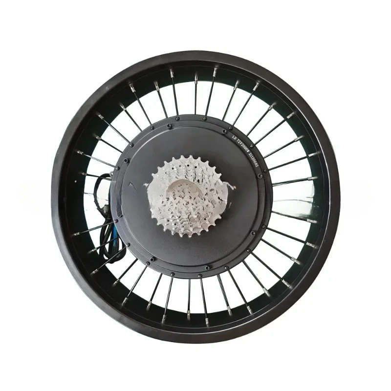 20 inch 2000w 3000w 5000w 100km/h 120km/h  high speed spoke  motor with 20*4.0 fat tire