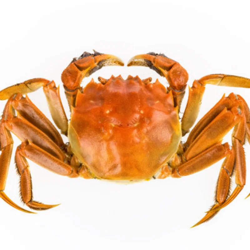 

MJX H12Y/H12Y+ 1/12 Металлический комплект шестерен для обновления радиоуправляемого автомобиля (трансмиссионная шестерня + шестерня двигателя) - высокопрочная чугунная конструкция