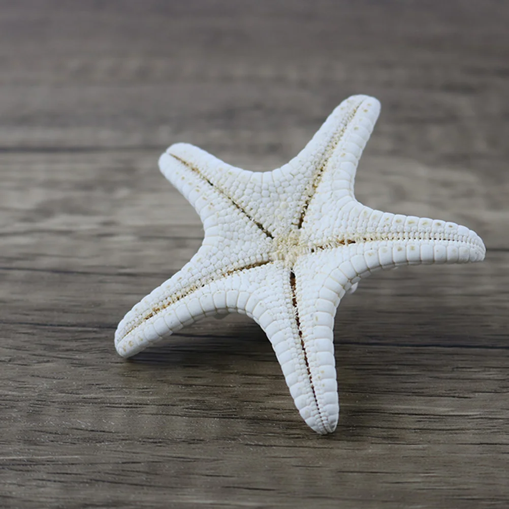 

9 Pcs Decoration Real Natural Exquisite Overlord Stars Home Coastal Beach Table Mirror Lamp Vase Fillers Desktop