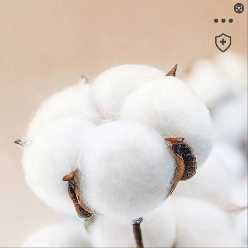 علاج تطهير الجروح من اليود للبشرة، مناسب للحمل في حالات الكوارث الرياضية الخارجية، لوازم الإسعافات الأولية الأساسية #4