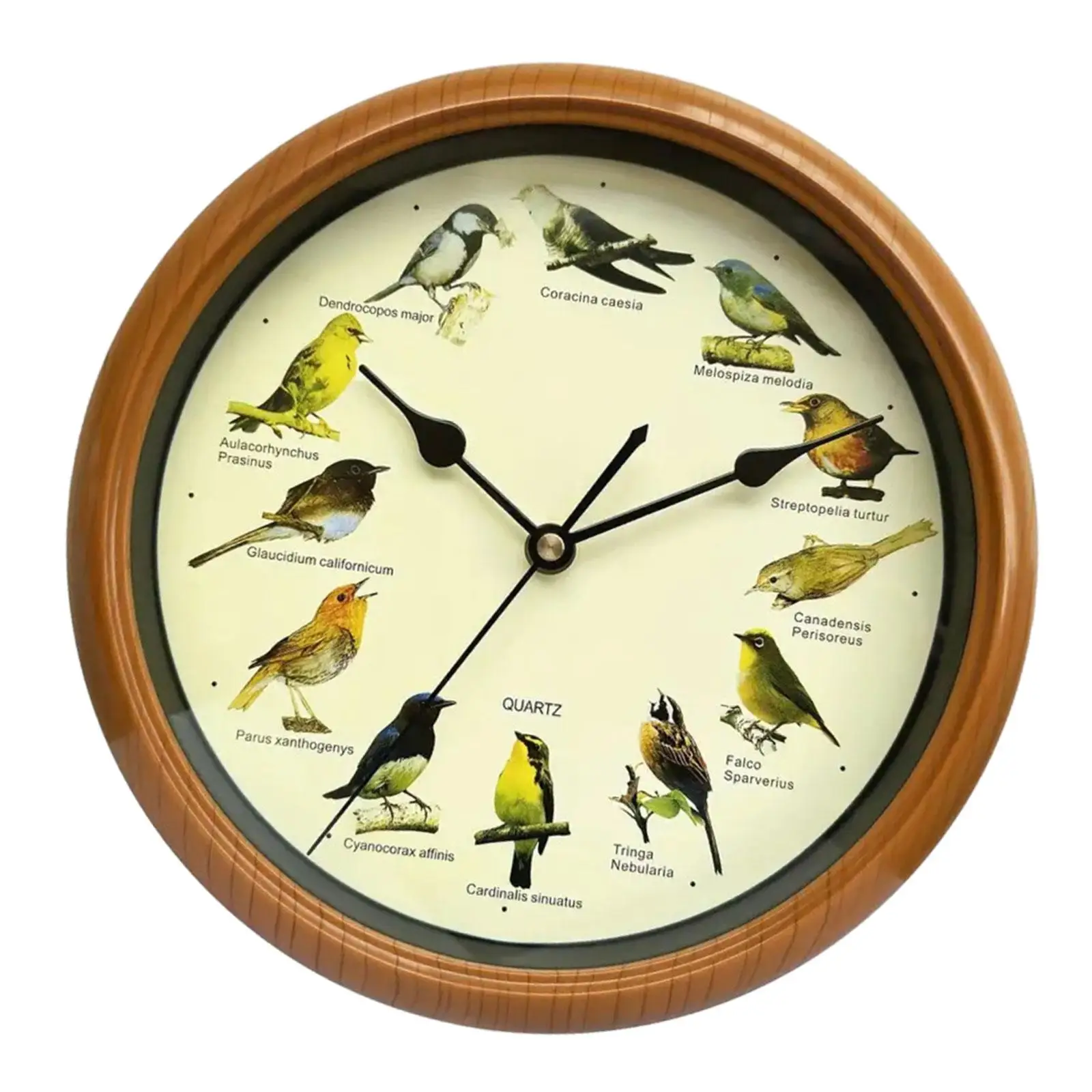 Bird Wall Clock Ornaments Minimalist Bird Clock with Sound Decorative Wall Clock for Bedroom Kitchen Living Room Office Home