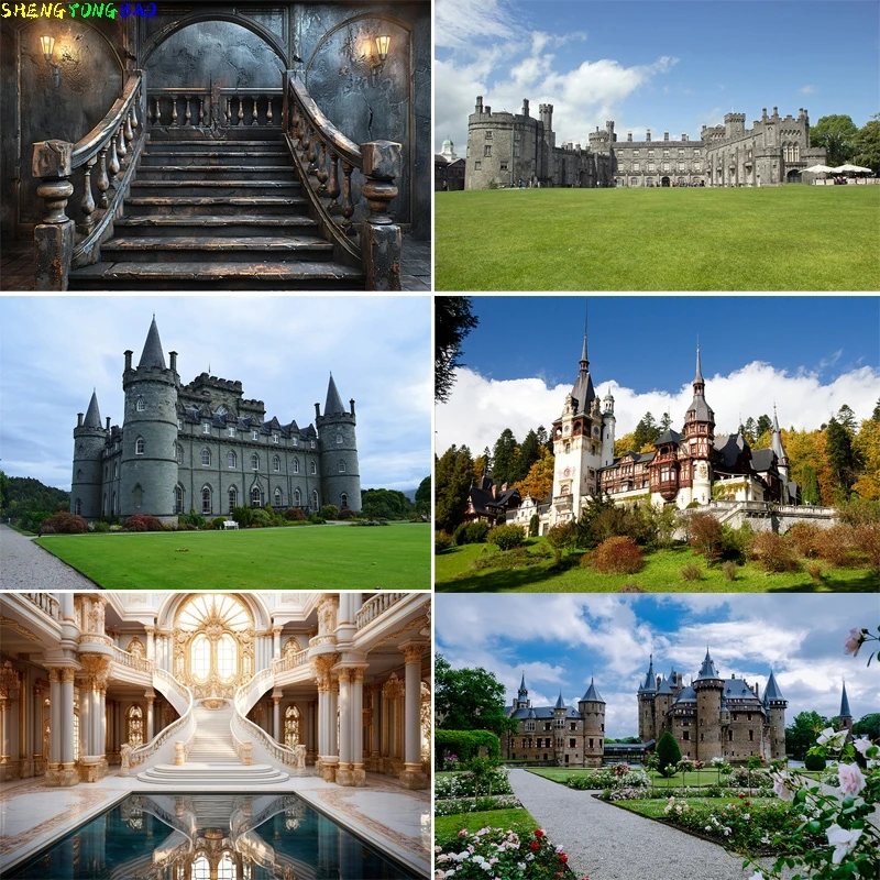

Beautiful Castle Architecture Staircase Photography Backdrops Medieval Fantasy Hallway Bookshop Cathedral Photo Background CT-01