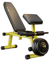 Multi Functional Dumbbell Stool Professional Fitness Chair Push Type Weightlifting Abdominal Training Adjustable Sit Up Bench 20