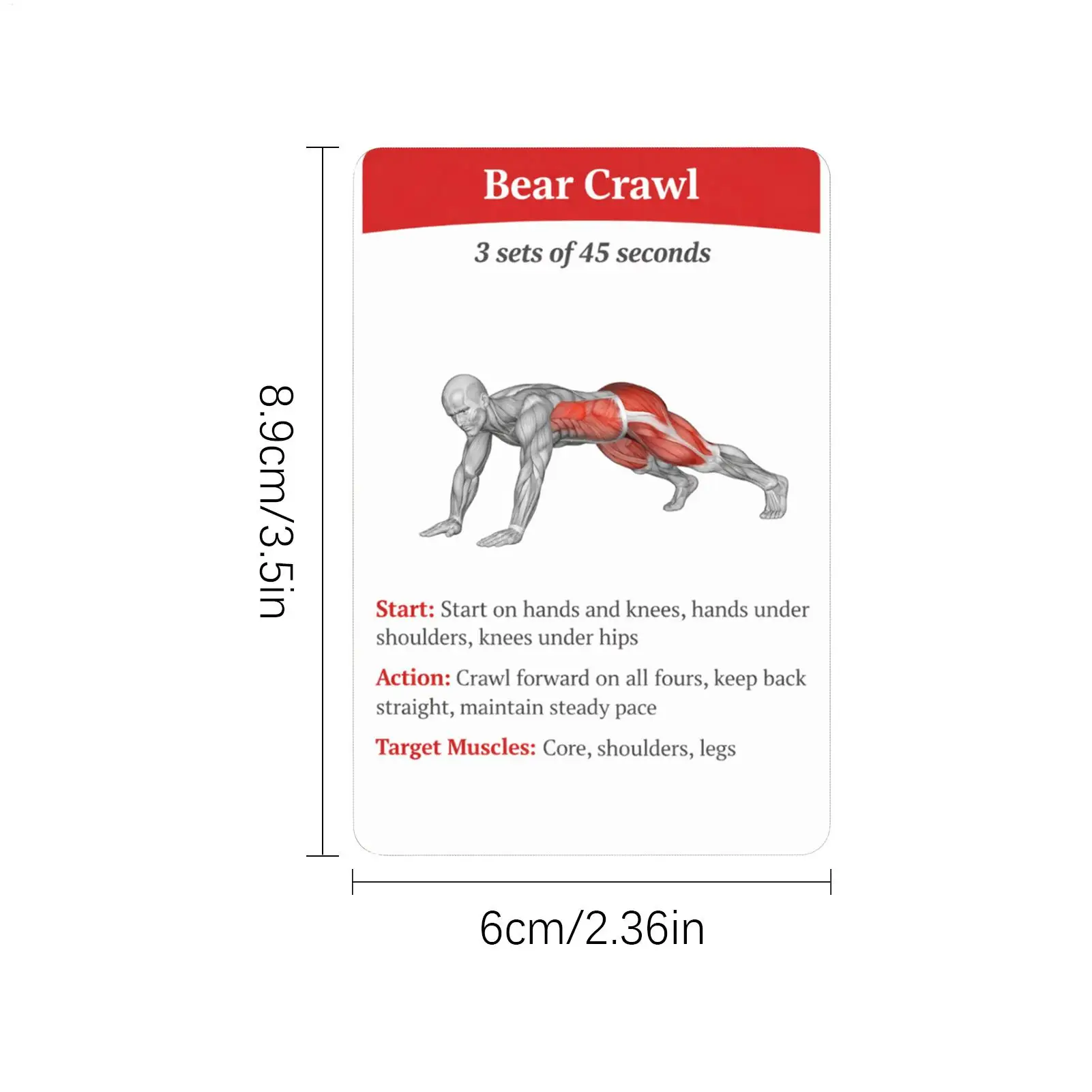 Picture 7: Workout Cards Exercise Deck 36pcs Portable Fitness Training Guide Home Gym Workout Cards for Women Men Beginner Advanced Train