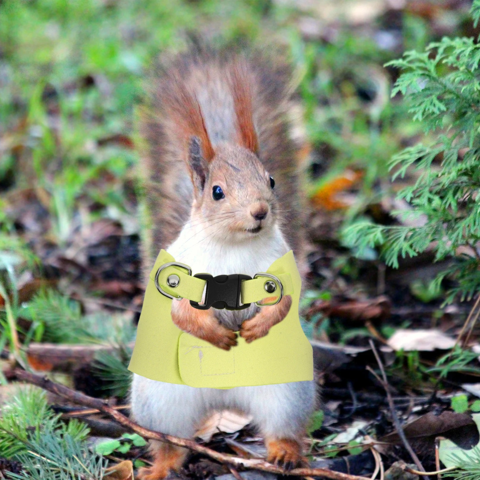 

1 set Pet Vest Harness Small Animal Harness Kit Adjustable For Ferret Squirrel Hamster Chinchilla Rat Outdoor Walking Durable