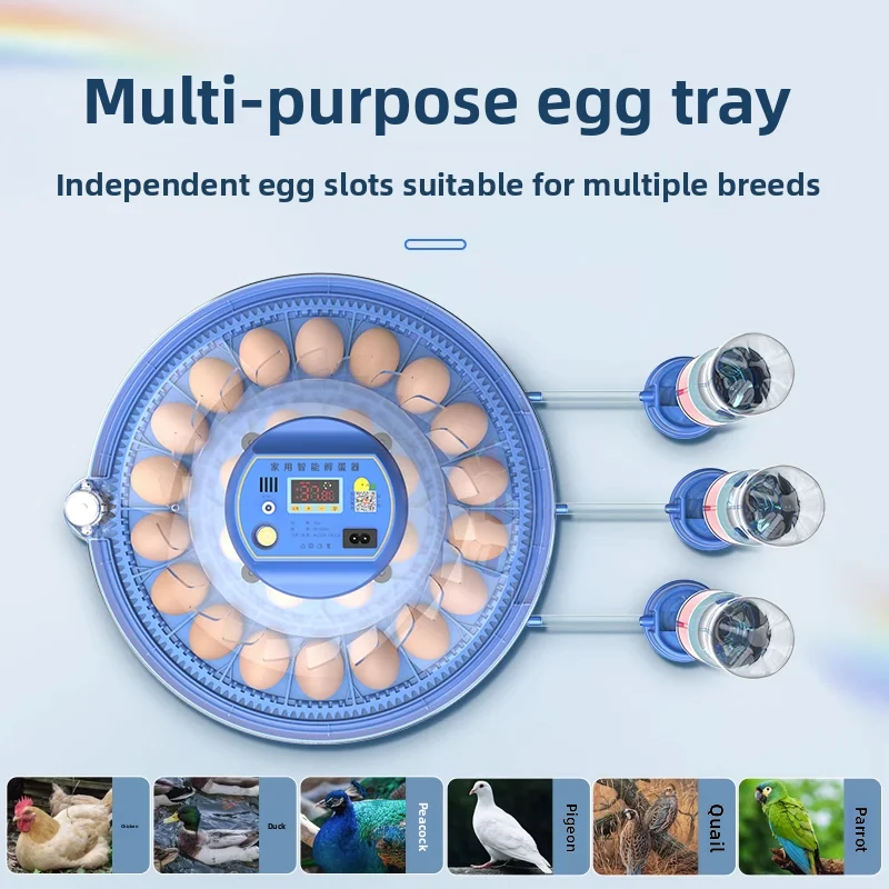 

Маленький автоматический домашний инкубатор, умная цифровая инкубационная машина для цыплят/попуг, компактная система инкубации для разведения птицы