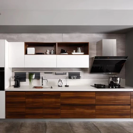 Top Home Cabinetry Custom, fortschrittliche Liche Edelstahl-Griffe, multifunktionales UAB Schubladen-Küchenschrank-Ystem