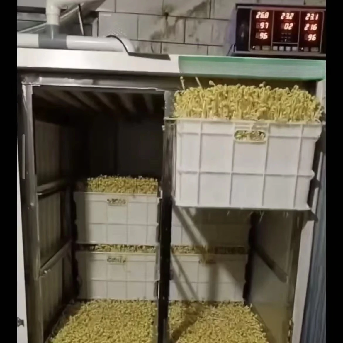 Intelligent Bean Sprouts Machine Barley Seed Sprout Machine Automatic Growing Equipment