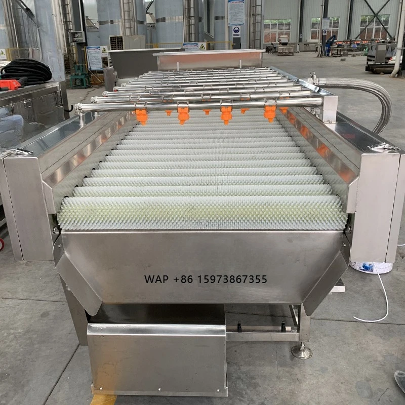 

Commercial Brush Washing Machine Food Cleaning Machine Fruit and Vegetables Washing Equipments