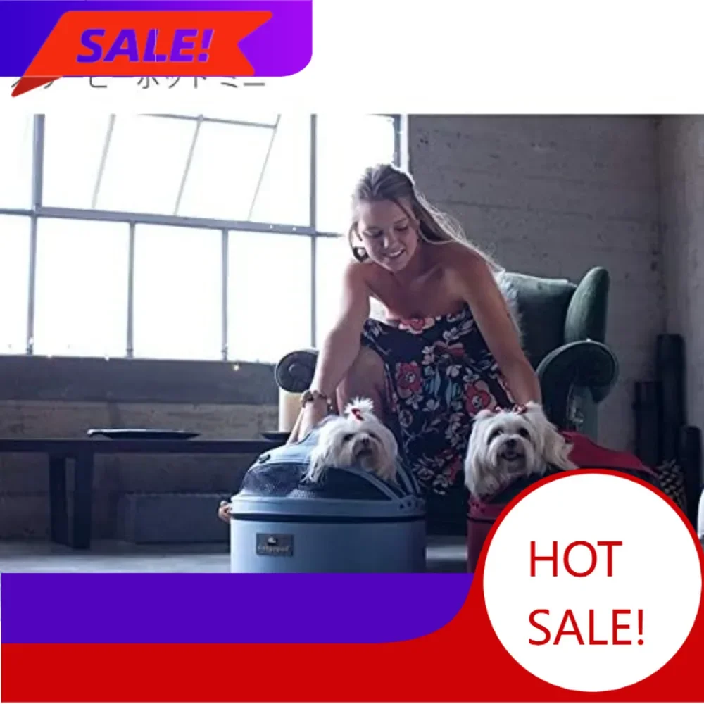 

Горячая распродажа! Портативная автомобильная кровать-переноска для маленьких собак и кошек, легкая, моющаяся, с сетчатой вентиляцией и безопасными ремнями.