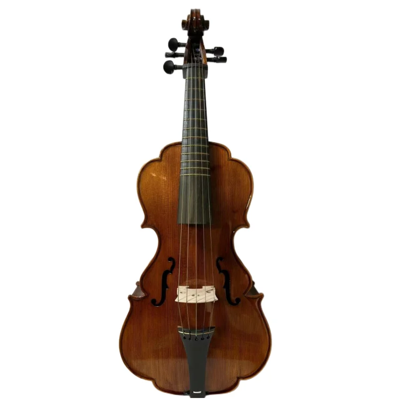 Baroque style song Brand Maestro mahogany wood 5 string 18