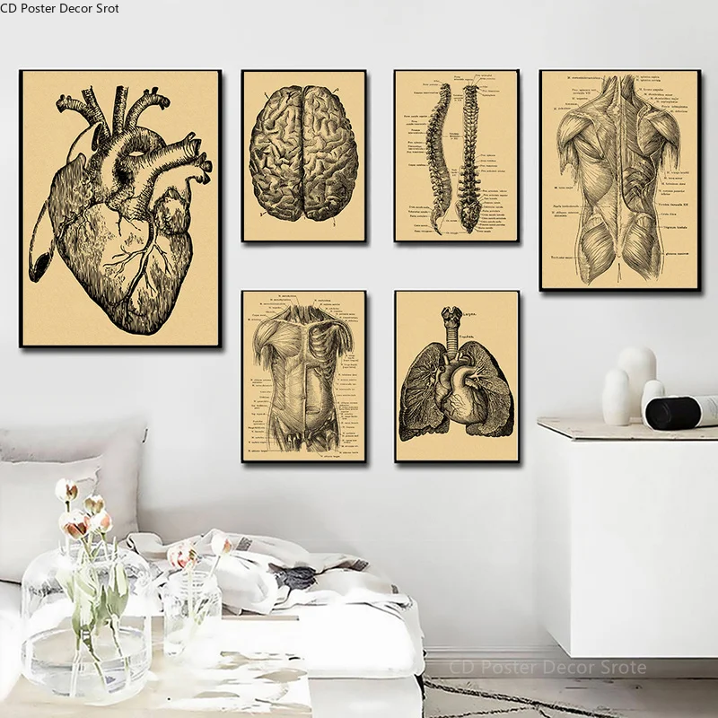 Human Anatomy Poster Organ Heart Brain Lung Muscle Skeleton Kraft Paper Vintage Room Bar Medical Clinic Decor Art Wall Painting