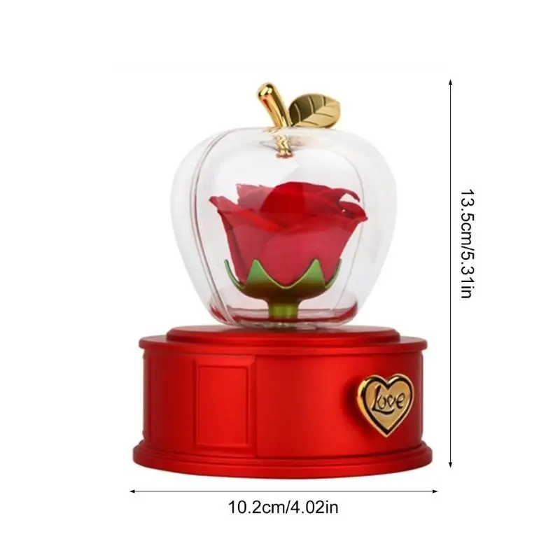 31BB رقة مجوهرات تخزين المجوهرات قلادة حاوية التغليف للنساء