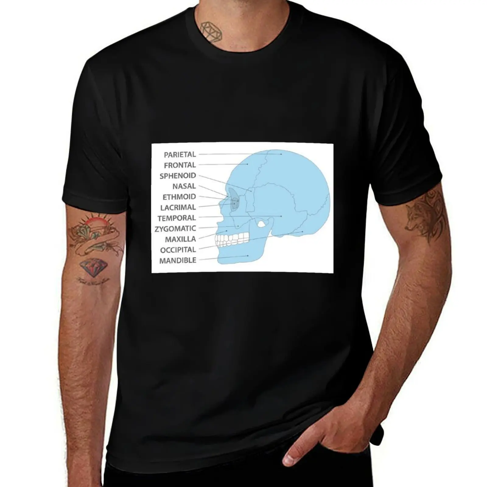 

chart of anatomical human skull bones T-Shirt cute clothes graphic tee shirt street wear boys animal print t shirt for men