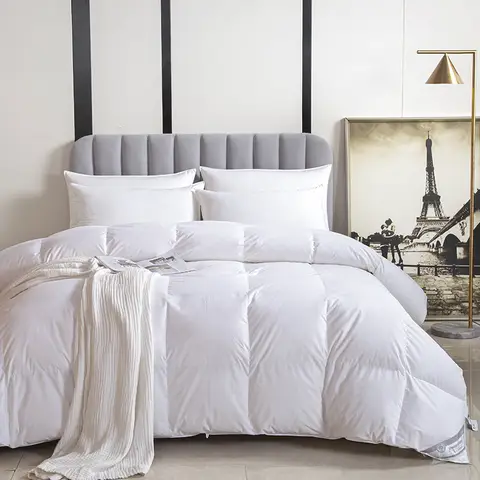 5성급 다운 이불 두께 보온 겨울 이불 심 화이트 구스 다운 가정용 호텔 싱글 더블 이불 두께 이불 사계절 이불