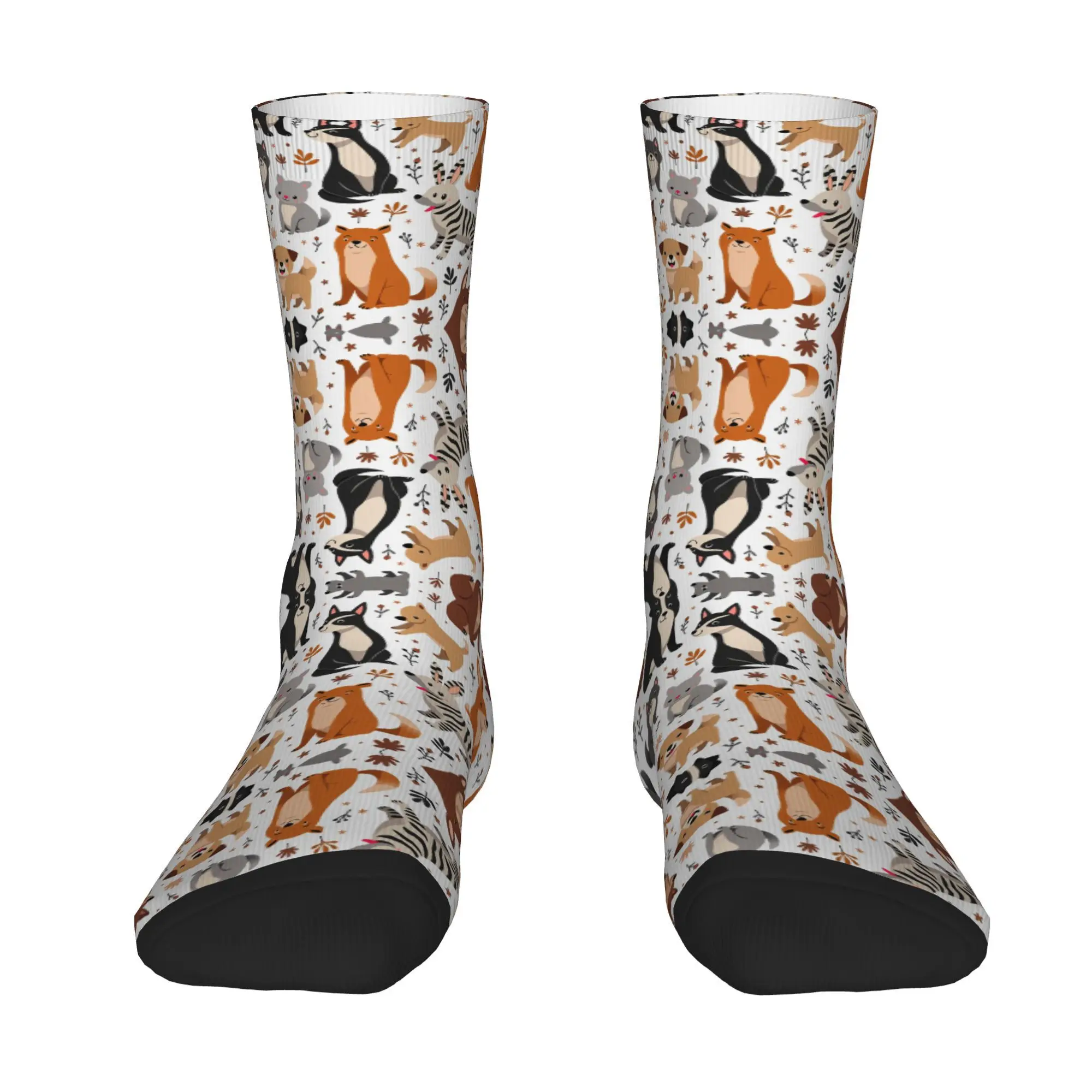 Hip Hop Cute Cartoon Animals Including Dogs Cats And Rabbits Men's Socks Unisex  Street Style Seamless Printed Sock tops fugees