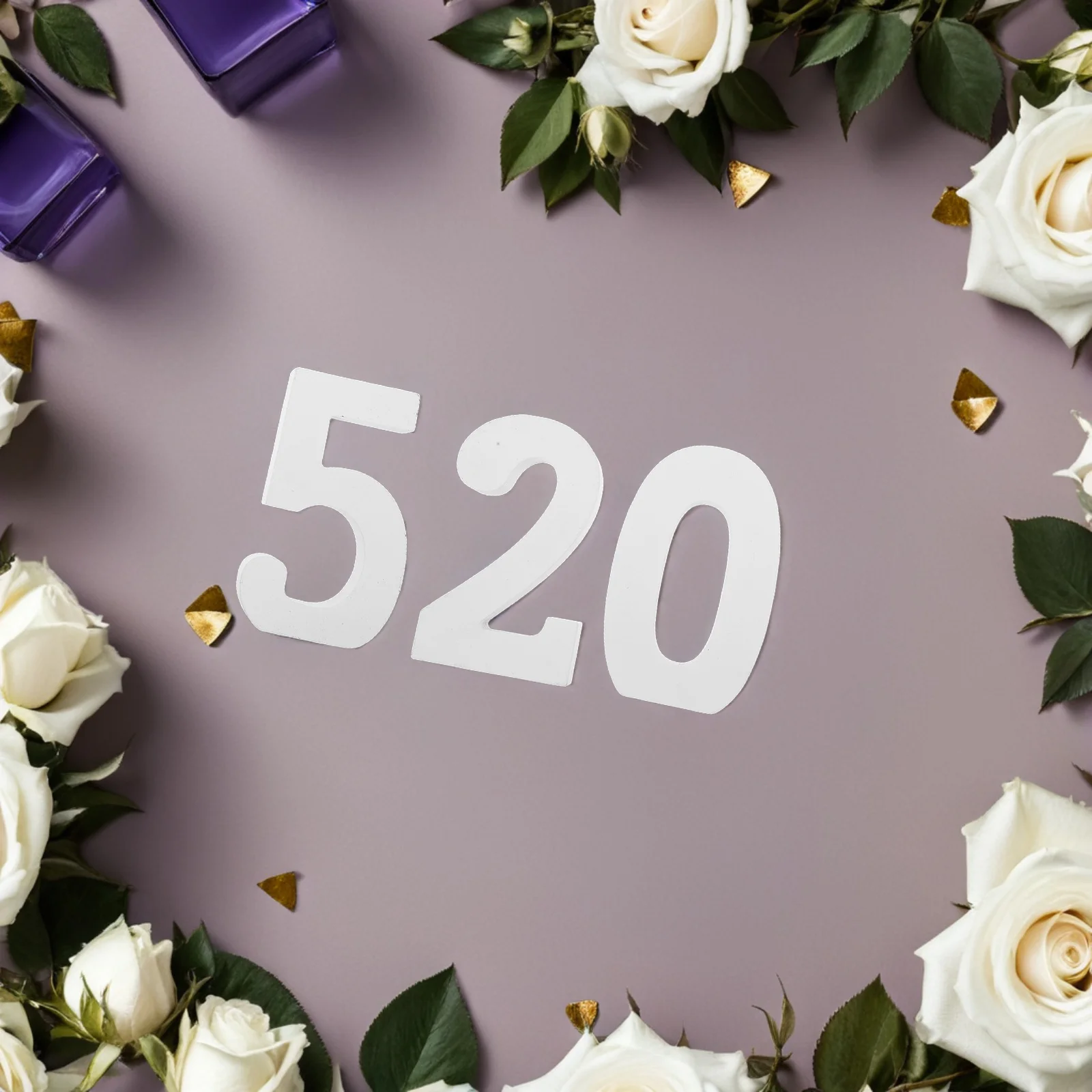 

3pcs White Unfinished Wood Numbers 5/2/0 Rustic Decorative Standing Slices For Diy Craft Home Wall Party Decor Wooden Number