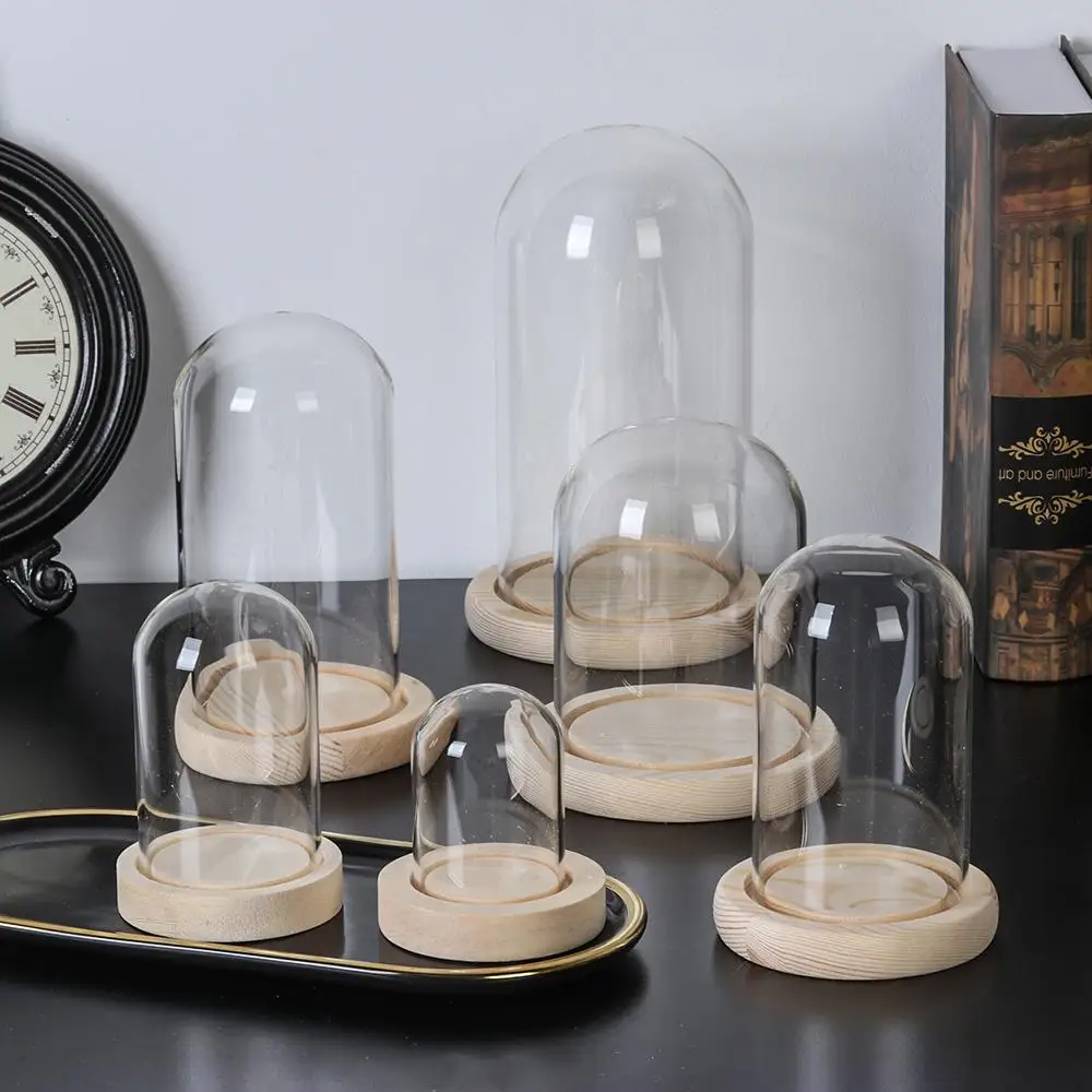 Glass Cloche Jar Display Stand Cover Terrarium Bottle with Wooden Base Acrylic Dust Cover Display Box Immortal Flower Box