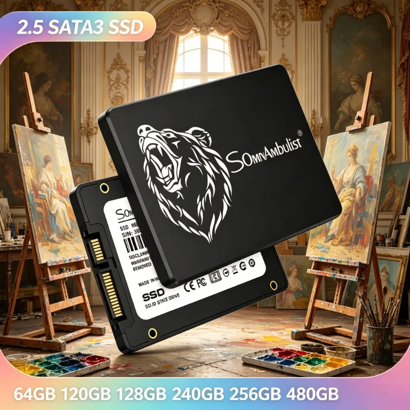 

Premium SomnAmbulist 2.5" SATA3 SSD All Capacities Shockproof Durable Drive for PC