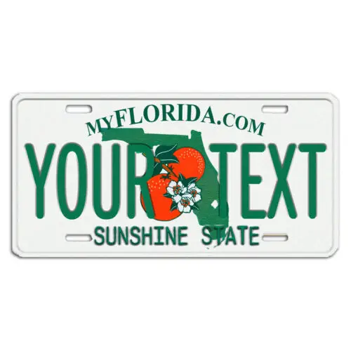FLORIDA PERSONALIZED CUSTOM ALUMINUM LICENSE PLATE Tag Any Text Your Name Aluminum