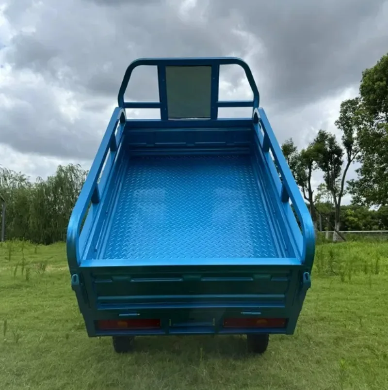 Open Body 3 Wheel Cargo Tricycle 60V 1000W Steel Motorbike  Transport Vehicle
