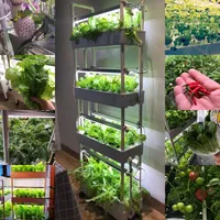 4 Layers 56 Holes Vertical Complete Hydroponics Growing System Kit Home Garden Planter with LED Light for Strawberry Vegetables