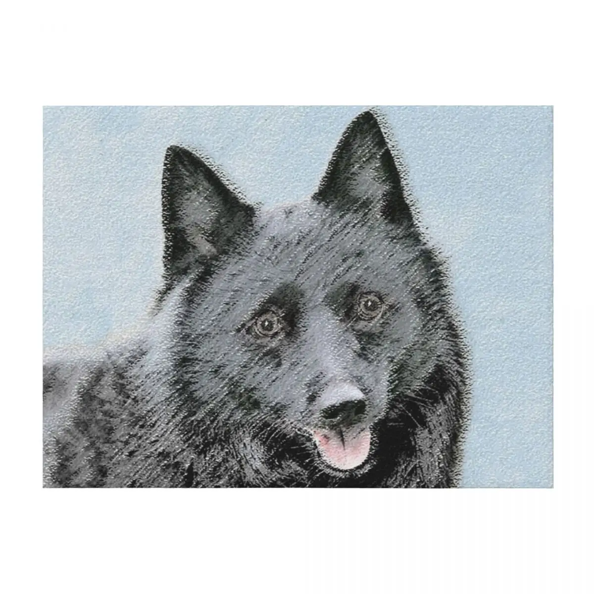 

Schipperke Throw Blanket Tourist decorative Plaid Blankets