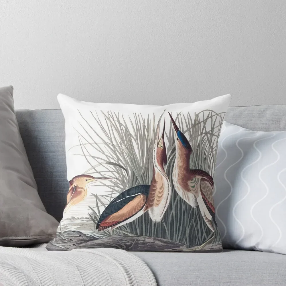 Least Bittern - John James Audubon Throw Pillow Sofa Cover Luxury Sofa Cushions pillow