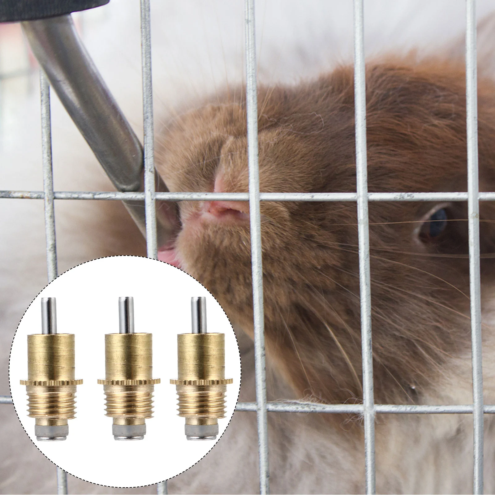 Rabbit Water Fountain Farm Animal Supplies Automatic Waterer Drinker Watering System for Nipple Drinking Tool Rat