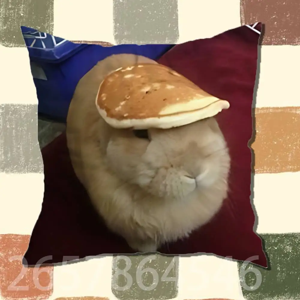 Cute and funny rabbits Polyester Printed Pillow Cover Square 30 35 40 45 50 55 cm Soft for Sofa Bed Car Home Decor