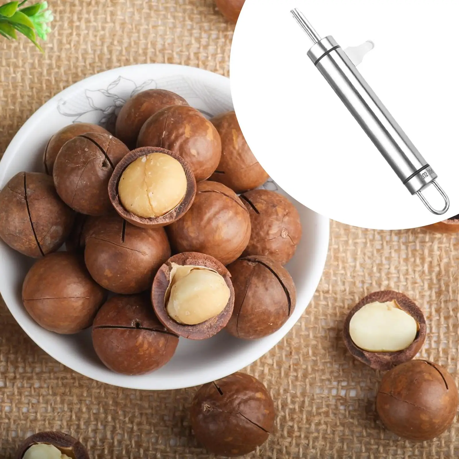 Modern Macadamia Nut Opener Premium Stainless Steel Compact Nut Cracking Tool for Almond Hazelnut Walnut Kitchen Use