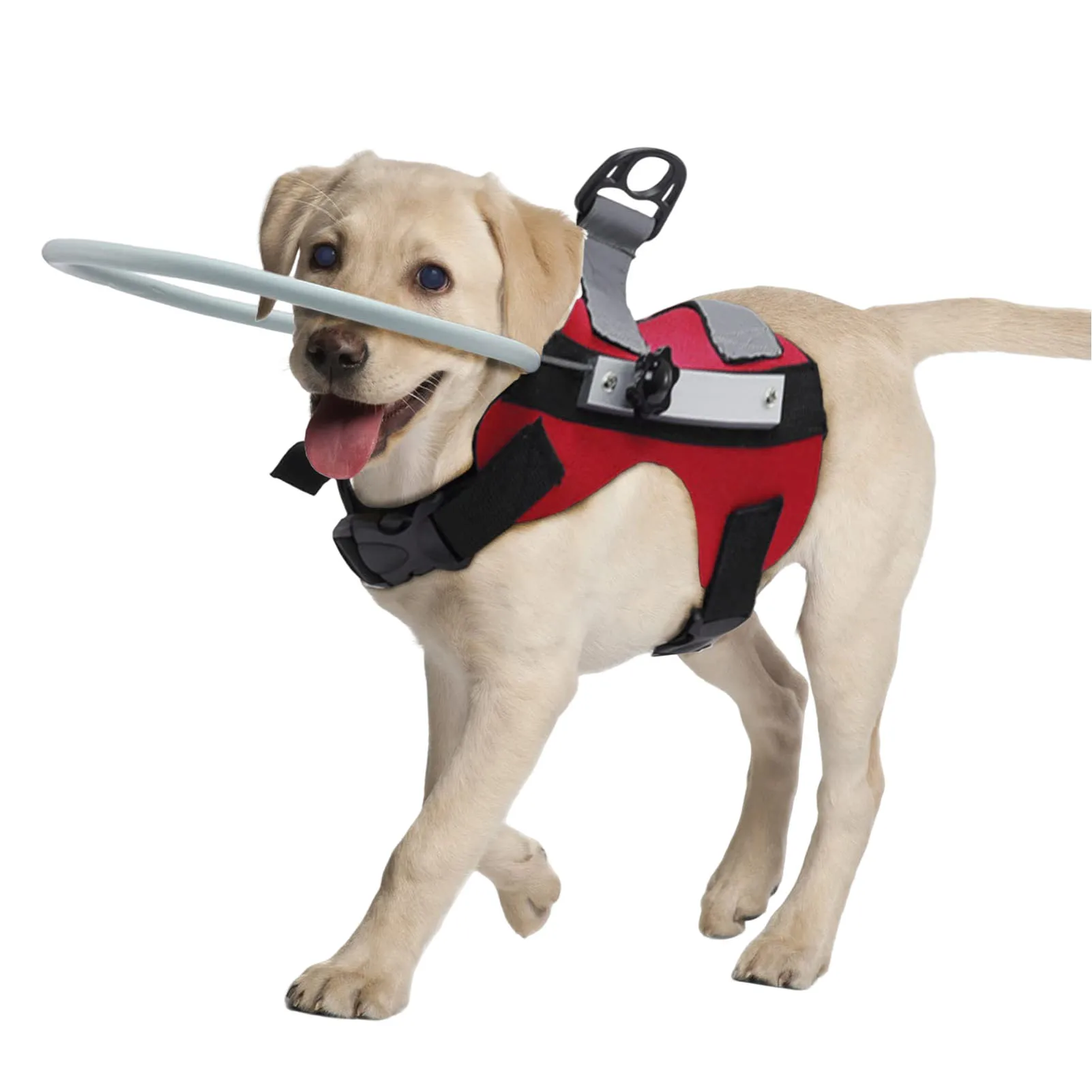 

Blind Dog Halo Harness, Lightweight Anti-Collision Blind Halo Ring for 11"-20" Visually Impaired Pets