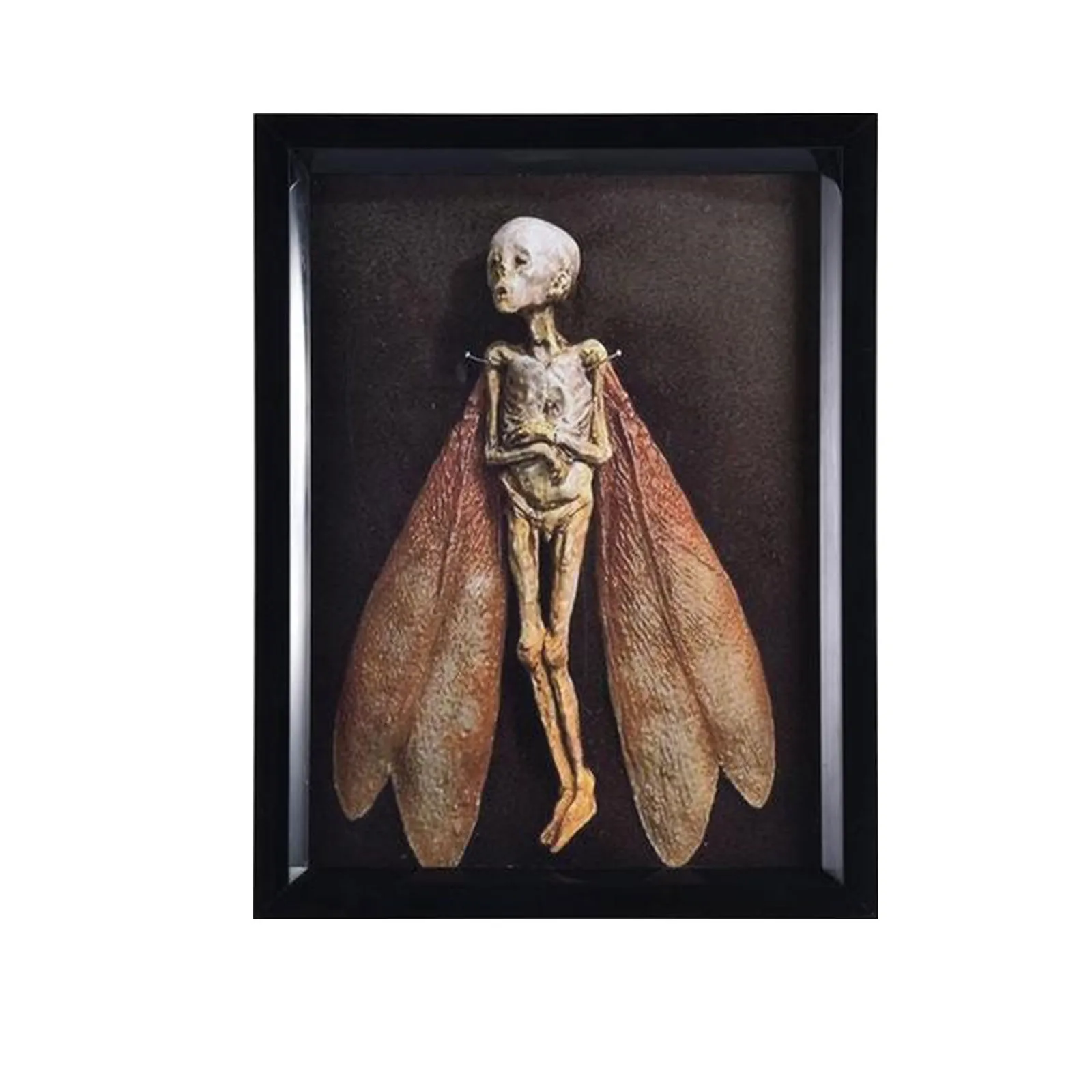 Cursed Items Dead Fairy Shadow Box Display Wooden Decoration Living Room Wall Home Decoration Home Decoration Accessories декор