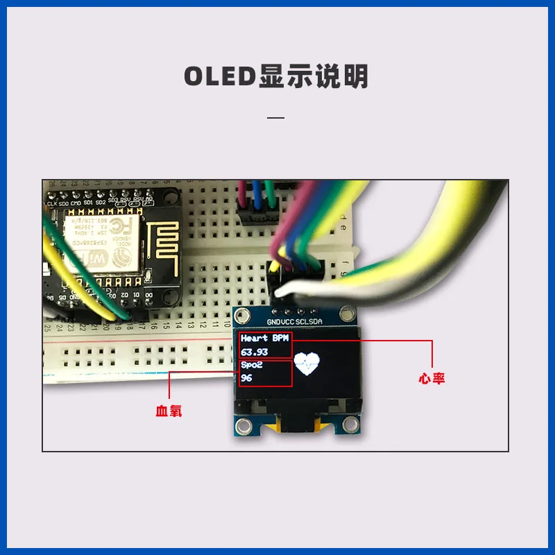 Blood oxygen sensor kit, ECG oxygen saturation detection