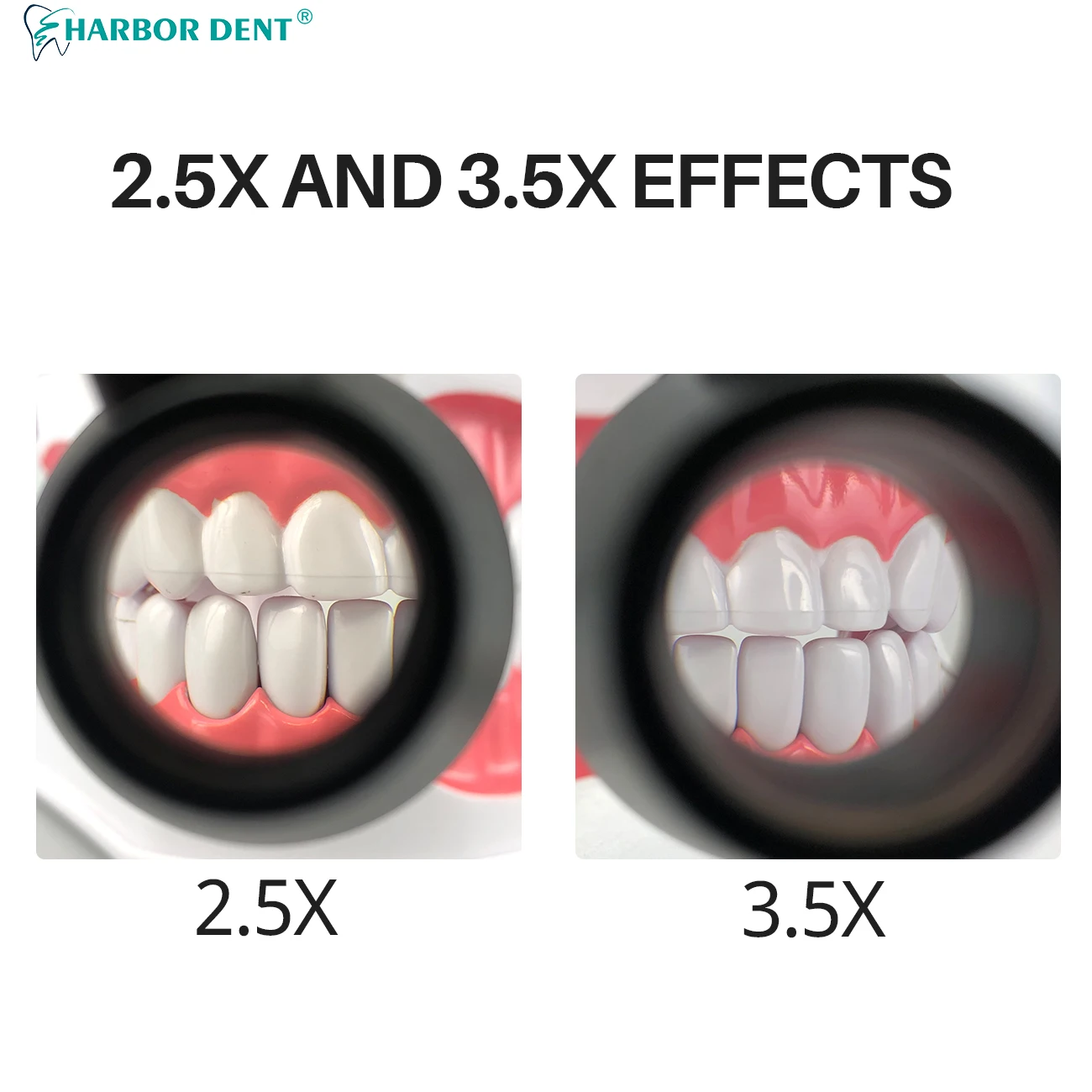 Lámpara de luz de cabeza LED Dental de 5W 2,5X 3,5X lupas binoculares de aumento de faro quirúrgico Dentisit con 2 filtros