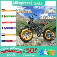 Jansno X50P E-bike 750W Motor 48V14AH Battery Motorcycle Mountain Aluminum Alloy Electric Bike 20*4.0 Fat Tire Electric Bicycle
