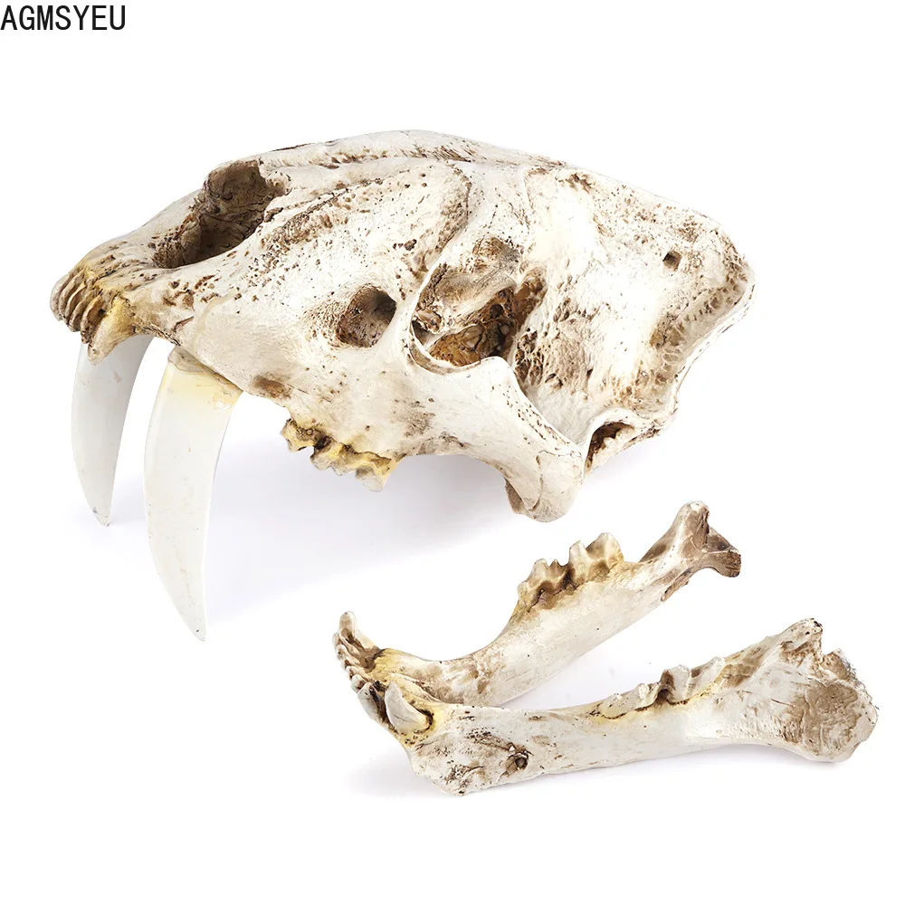 1PC retro creative animal skull ornament resin crafts Halloween gift home decoration living room desktop skull props