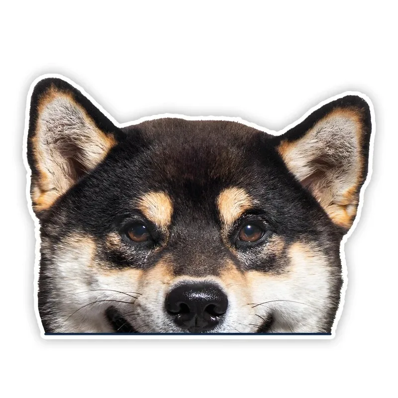 Peeking Black Shiba… - image
